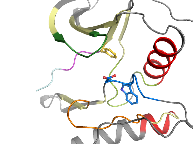 The orthosteric binding pocket