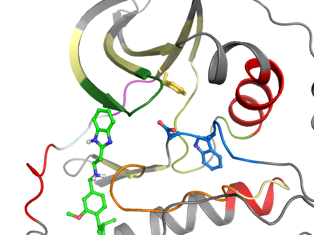The orthosteric binding pocket