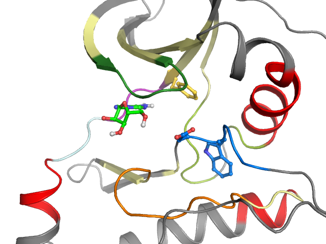The orthosteric binding pocket