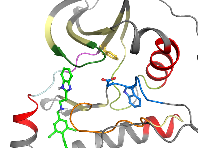 The orthosteric binding pocket