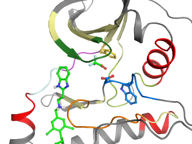 The orthosteric binding pocket