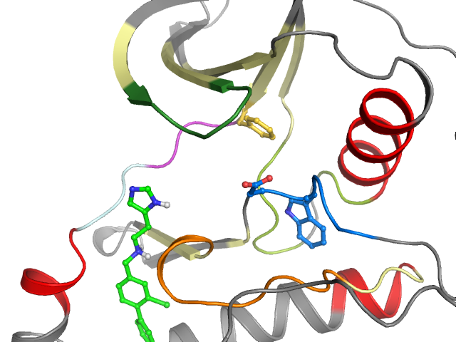 The orthosteric binding pocket