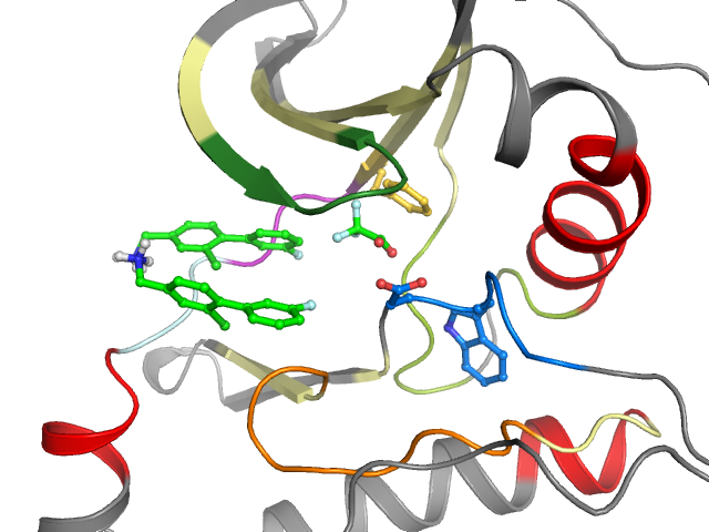 The orthosteric binding pocket