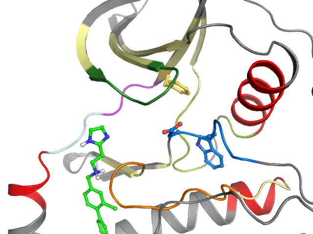 The orthosteric binding pocket