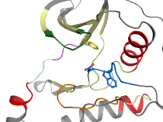 The orthosteric binding pocket