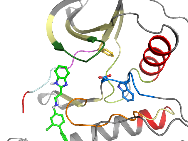 The orthosteric binding pocket