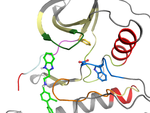 The orthosteric binding pocket