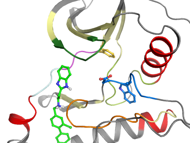 The orthosteric binding pocket