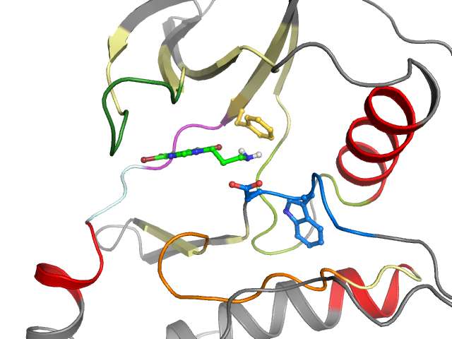 The orthosteric binding pocket