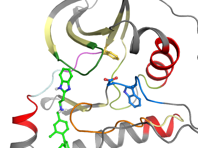 The orthosteric binding pocket