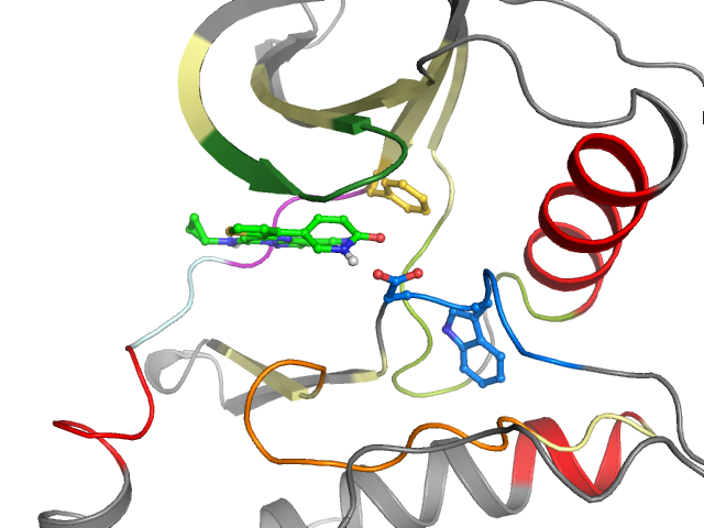 The orthosteric binding pocket
