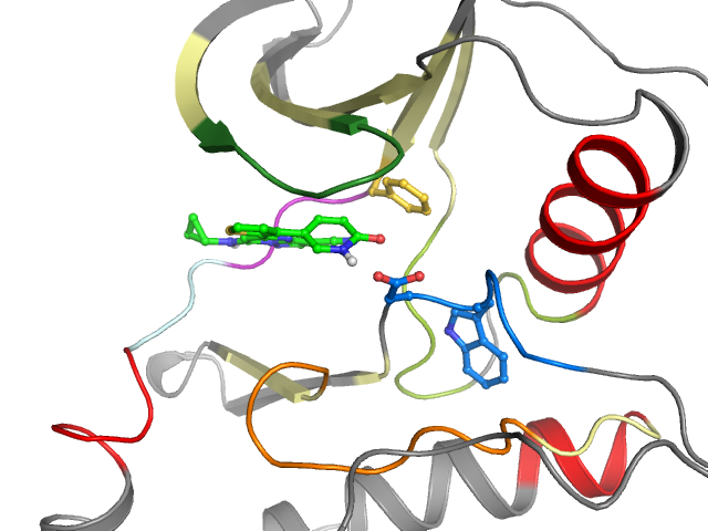 The orthosteric binding pocket