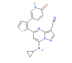 2D structure of the orthosteric ligand