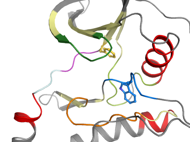 The orthosteric binding pocket