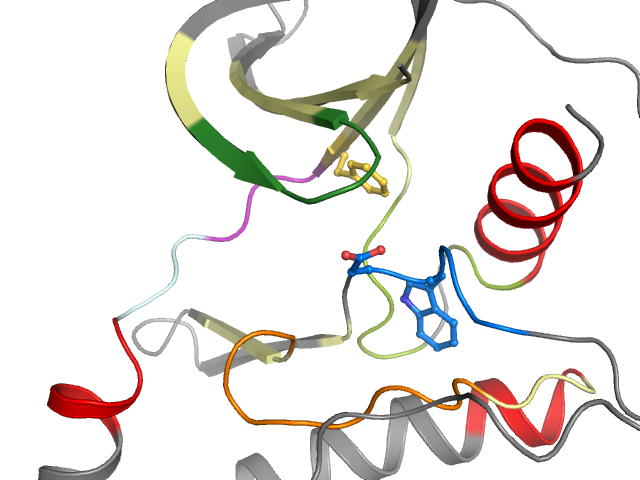 The orthosteric binding pocket