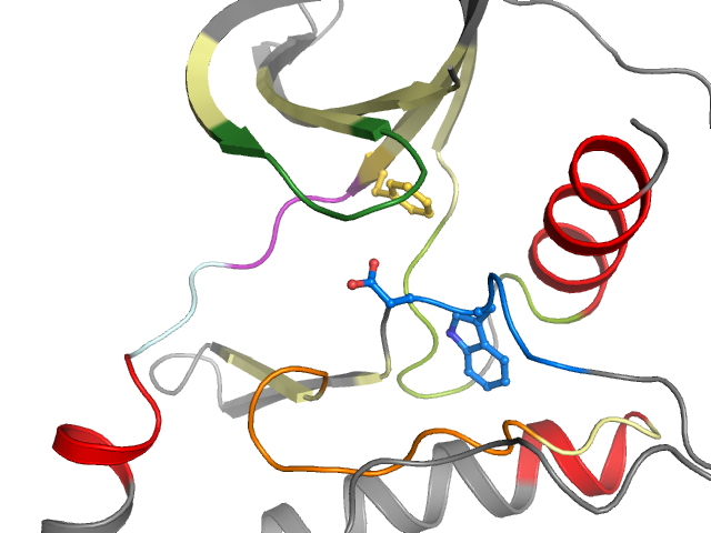 The orthosteric binding pocket