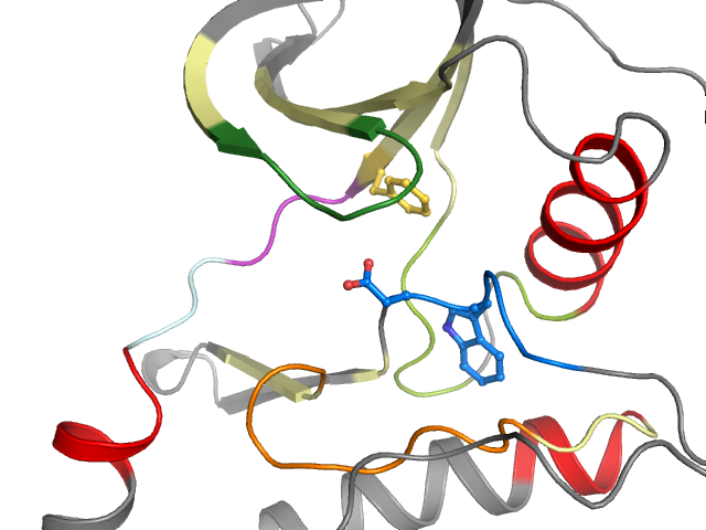 The orthosteric binding pocket