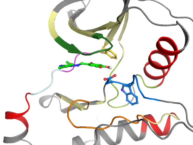The orthosteric binding pocket