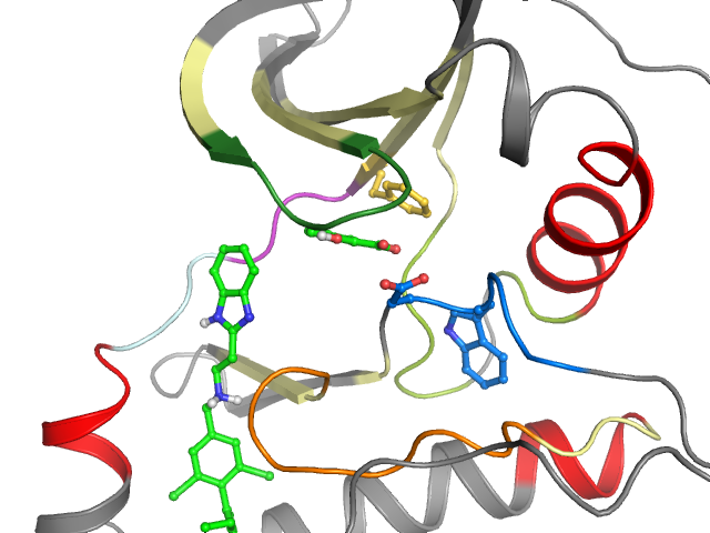 The orthosteric binding pocket