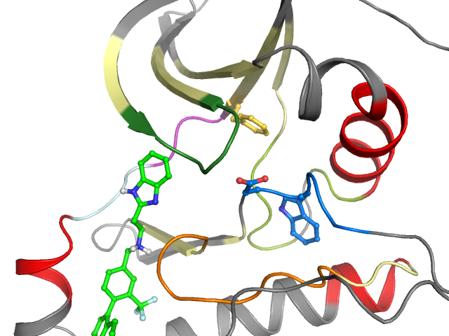 The orthosteric binding pocket