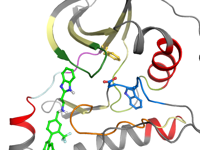 The orthosteric binding pocket