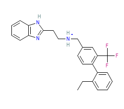 2D structure of the orthosteric ligand
