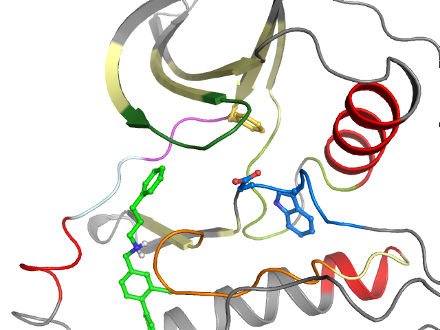 The orthosteric binding pocket