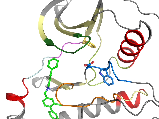 The orthosteric binding pocket