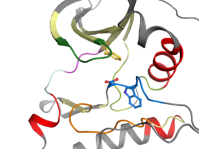 The orthosteric binding pocket