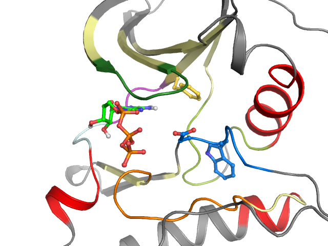 The orthosteric binding pocket