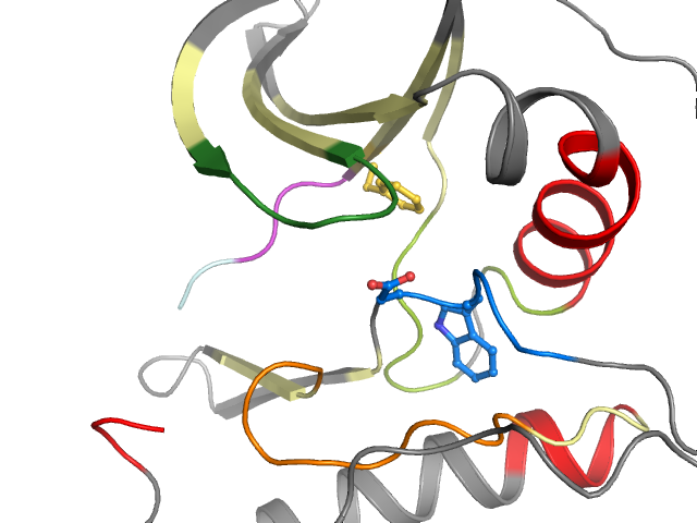 The orthosteric binding pocket