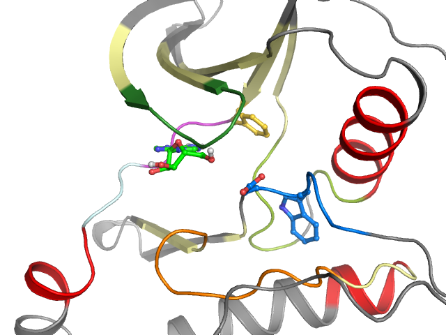 The orthosteric binding pocket