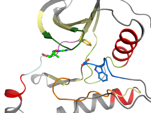 The orthosteric binding pocket