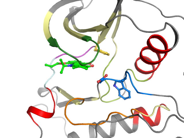 The orthosteric binding pocket
