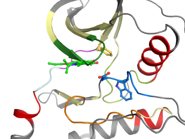 The orthosteric binding pocket