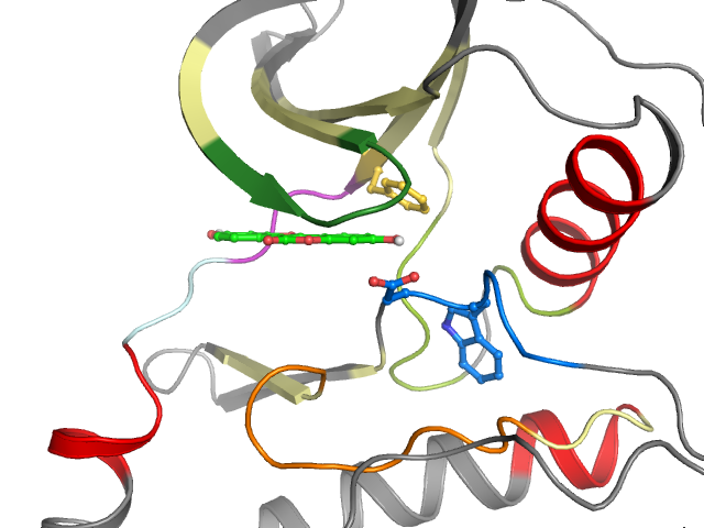 The orthosteric binding pocket