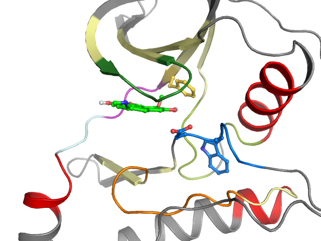The orthosteric binding pocket