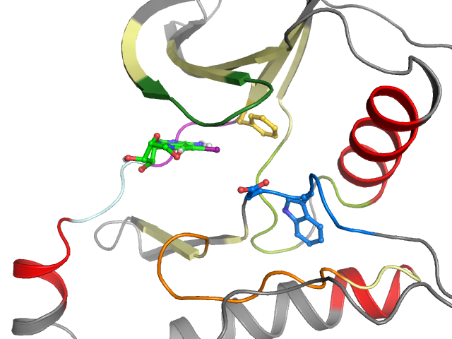 The orthosteric binding pocket