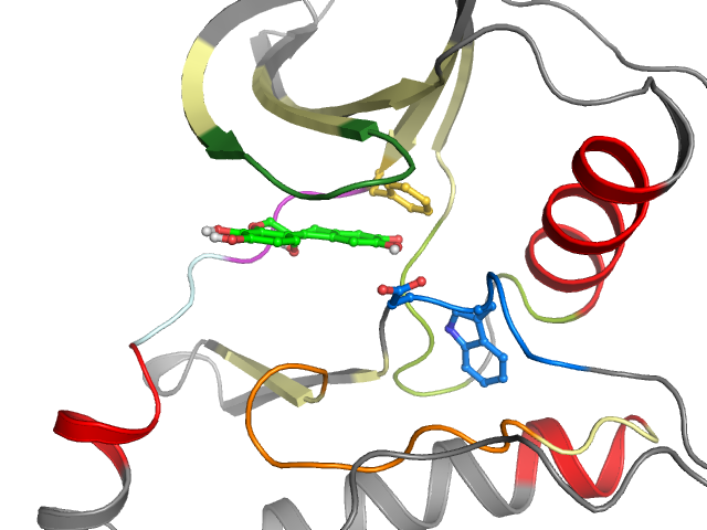 The orthosteric binding pocket