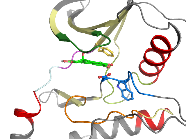 The orthosteric binding pocket
