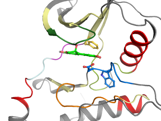 The orthosteric binding pocket