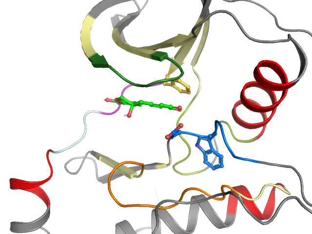 The orthosteric binding pocket