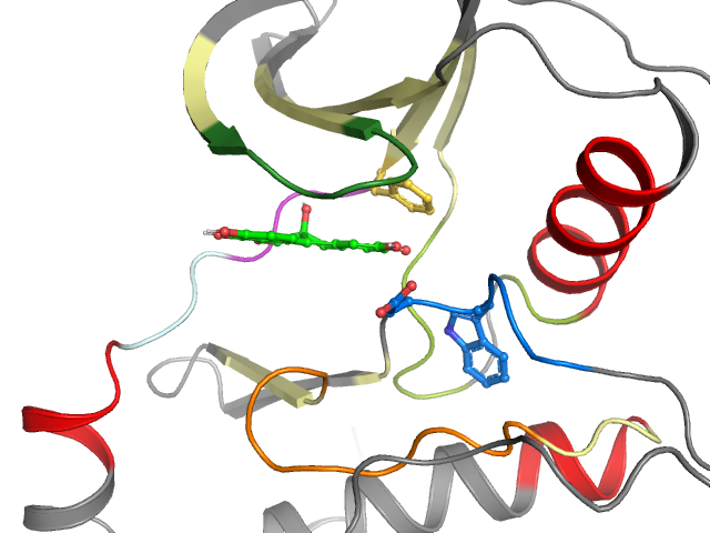 The orthosteric binding pocket