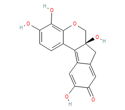 2D structure of the orthosteric ligand