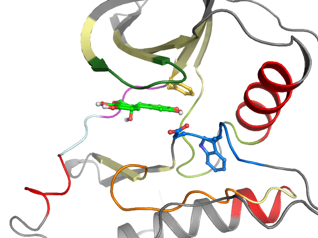 The orthosteric binding pocket