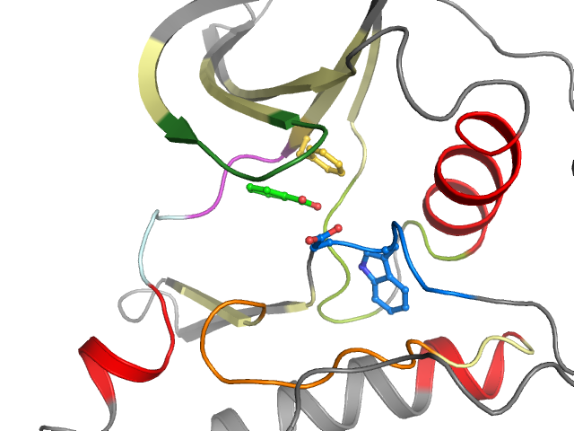 The orthosteric binding pocket