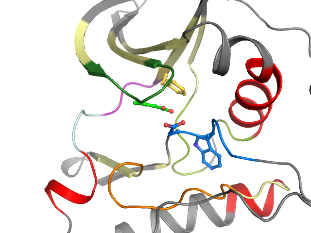 The orthosteric binding pocket