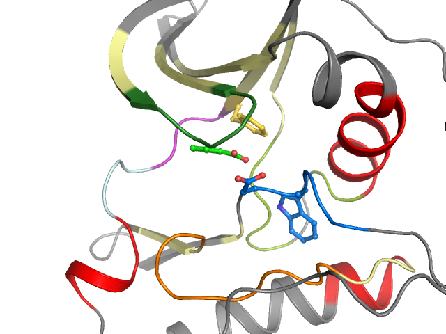 The orthosteric binding pocket