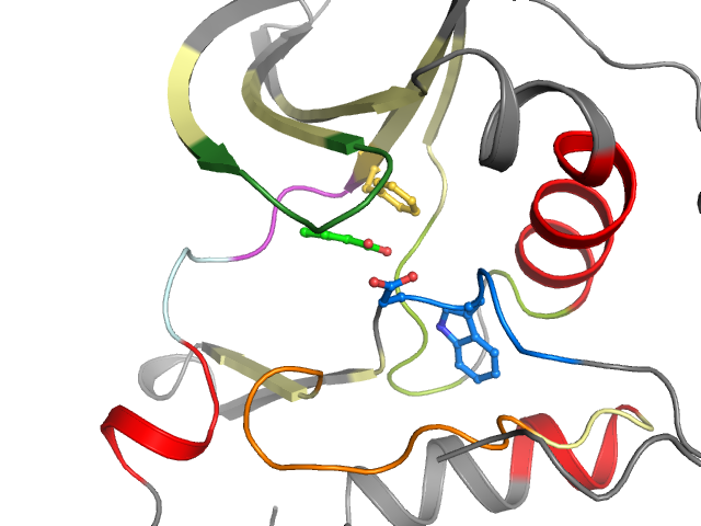 The orthosteric binding pocket
