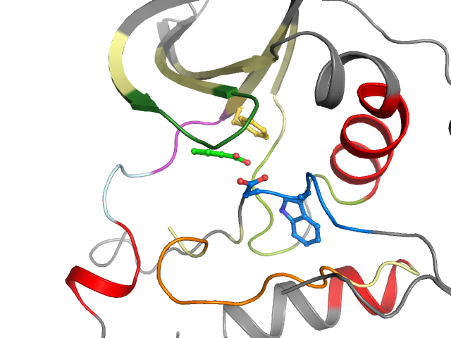 The orthosteric binding pocket